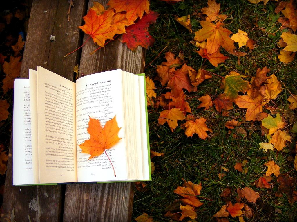 Zwalcz jesienną chandrę książką!